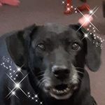Rhonda Pate Hayden - @rhondapatehayden - Instagram