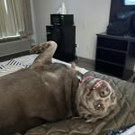 Rhonda Pate Repasz - @rjrepasz - Instagram