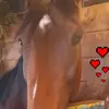 Rhonda Penny - @rhondapenny1 - TikTok
