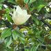 Rhonda Phipps - Facebook