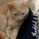 Rhonda Pickelsimer - @rhonda.pickelsimer.984 - Instagram
