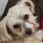 Rhonda Pickle - @picklerhonda - Instagram