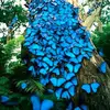 🦋 Rhonda Team Tasi Queen 🦋🔱 - @rhonda1964 - TikTok