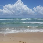 Rhonda Randazzo - @rhonda.randazzo - Instagram