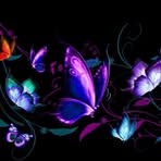 Rhonda Rawls - Facebook