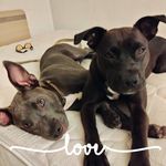 Rhonda Raynor - @raynorrhonda - Instagram