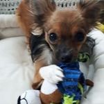 Rhonda Reece - @rreese329 - Instagram