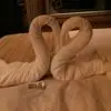 rhondareece0 - @mimi.r204 - TikTok