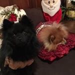 Rhonda Renfro - @renfrorhonda - Instagram