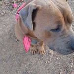 Rhonda Renfrow - @renfrow.rhonda - Instagram