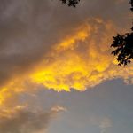 Rhonda Rice - @rhonda.rice.5050 - Instagram