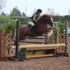 Rhonda Rice - @rhondajayne1 - TikTok