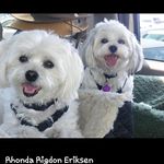 Rhonda Rigdon Eriksen - @rreriksen58 - Instagram