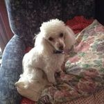 Rhonda Riley - @rhondariley1359 - Instagram