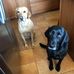 Ronda Root - Facebook
