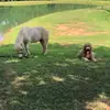Rhonda - @therhondarosa - TikTok