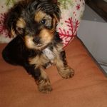 Rhonda Rossetti - @rhonda.rossetti.7 - Instagram