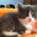 Rhonda Rossetti - Facebook