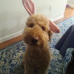 Rhonda Ruby Summey - @summeyrhonda - Instagram