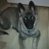 rhondaruff550 - @rhondaruff550 - TikTok
