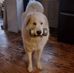 Ronda Beerens Salisbury - Facebook