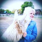 Ronda Dirk Salisbury - @rondalikesalpacas - Instagram