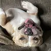 Rhonda _Sample - @_its_rhonda_ - TikTok