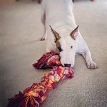 Rhonda Alexander-Searle - @lucy_lou_ebt - Instagram