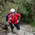 Rhonda Searle - @herb356 - Instagram