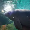 ❤ Happy Mom 😀 - @rhonda.seward - TikTok
