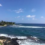 Rhonda Sharp - @rhonda.sharp.988 - Instagram