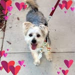 Rhonda Sharp - @rhondalynne25 - Instagram