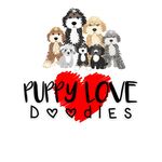 Rhonda Sharp - @puppylovedoodlesincolorado - Instagram