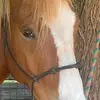 Rhonda Sharp - @rhonda.sharp4 - TikTok