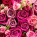 Rhonda Sheer - Facebook