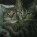 Rhonda Shepard - Facebook