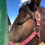 Rhonda Shrum - @rhonda.shrum.58 - Instagram