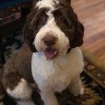 Rhonda Lloyd Simons - @rhonda.simons - Instagram
