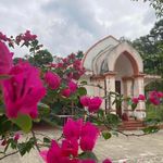 Rhonda Weir Simons - @rjwgirl57 - Instagram