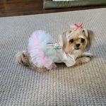 Rhonda Singleton - @singlewo63 - Instagram