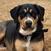 Rhonda Sisk - Facebook