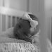 Rhonda Sisk - Facebook