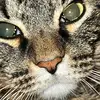 rhondastack22@yahoo.com - @rhondastack22 - TikTok