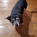 Rhonda Stanfill - Facebook