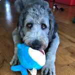 Rhonda Stanfill - @100proofwhiskey - Instagram