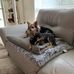 Rhonda Steadman - Facebook