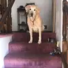 rhondasteenpickar - @rhondasteenpickar - TikTok