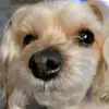 Rhonda Stefanski - @robertstefanski - TikTok