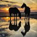 Rhonda Stephens - Facebook