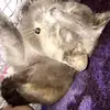 rhonda stokes - @rhondastokes2355 - TikTok